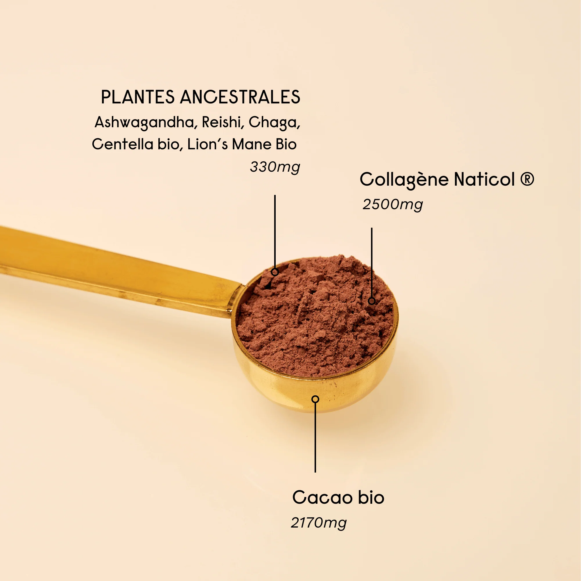 Le Collagène Cacao - Image 4