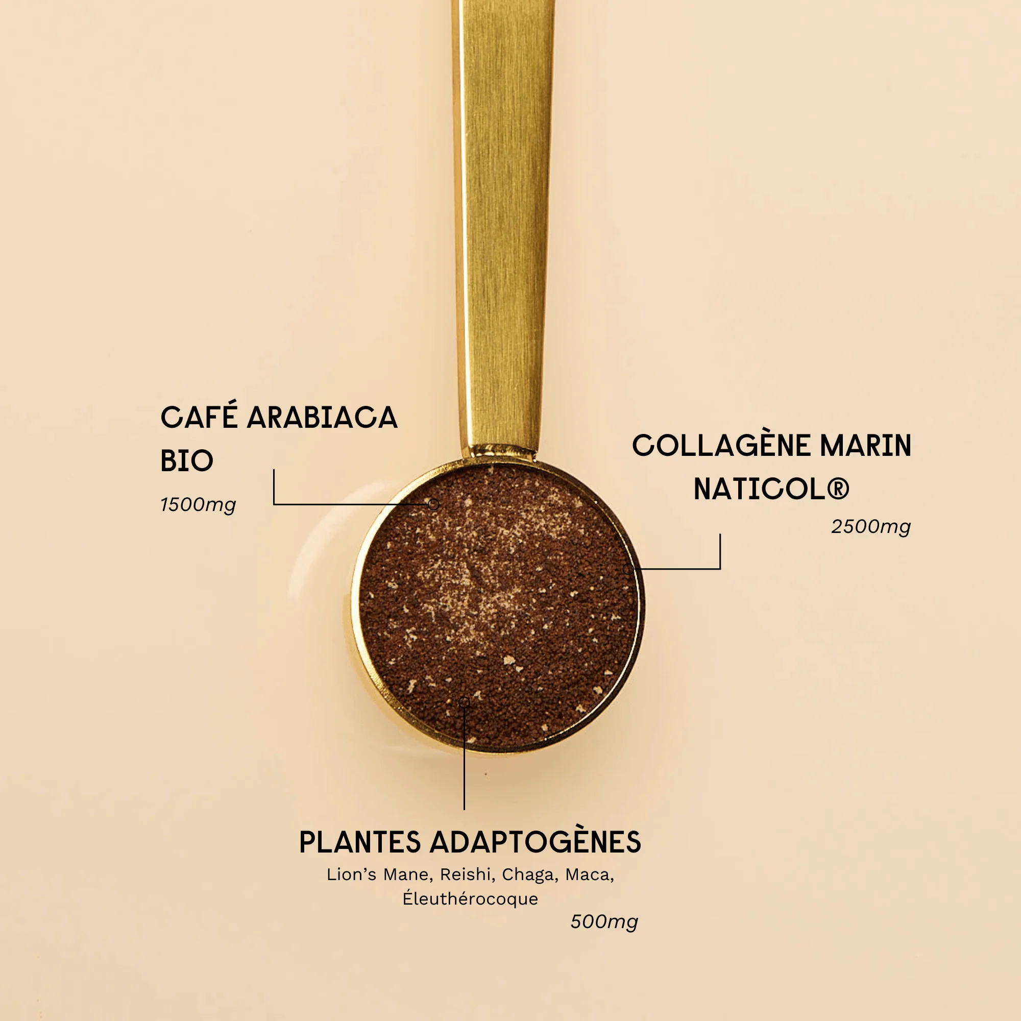 Le Collagène Café - Image 4