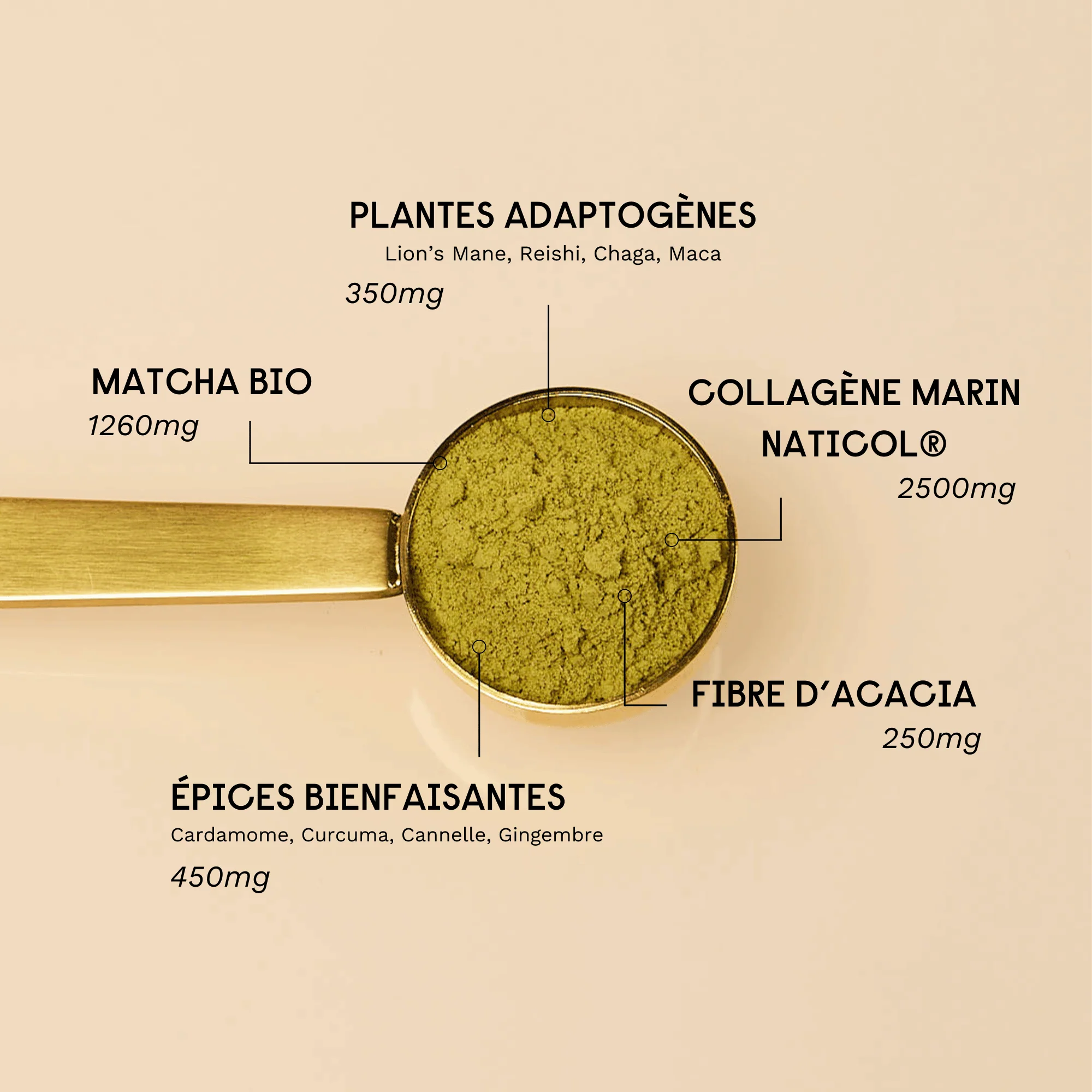 Le Collagène Matcha - Image 4